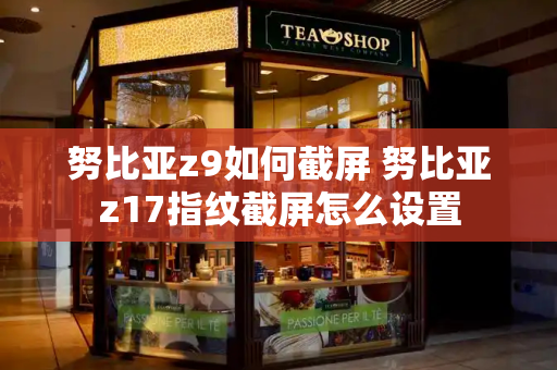 努比亚z9如何截屏 努比亚z17指纹截屏怎么设置-第1张图片-星选测评