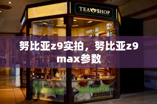 努比亚z9实拍，努比亚z9max参数