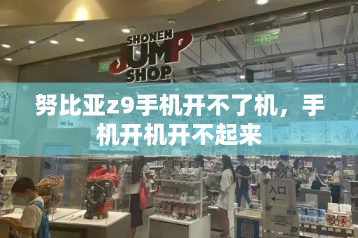 努比亚z9手机开不了机，手机开机开不起来