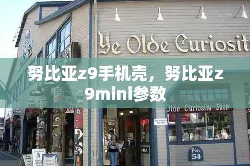 努比亚z9手机壳，努比亚z9mini参数-第1张图片-星选测评
