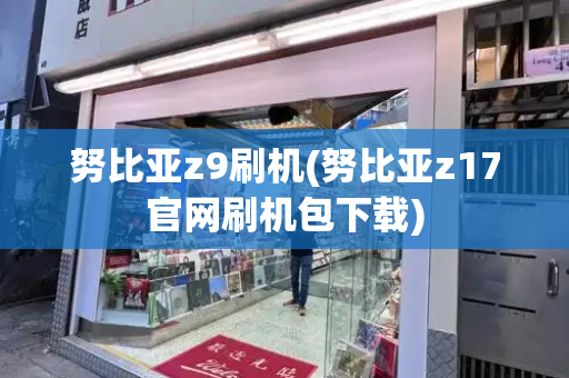 努比亚z9刷机(努比亚z17官网刷机包下载)-第1张图片-星选测评