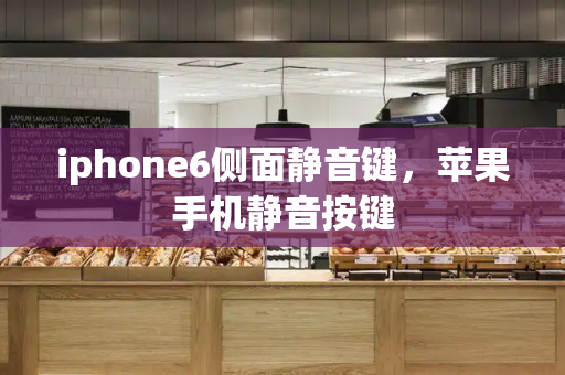 iphone6侧面静音键，苹果手机静音按键