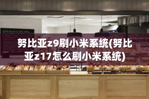 努比亚z9刷小米系统(努比亚z17怎么刷小米系统)-第1张图片-星选测评