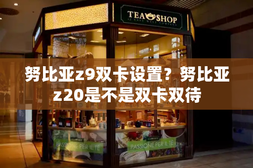 努比亚z9双卡设置？努比亚z20是不是双卡双待-第1张图片-星选测评