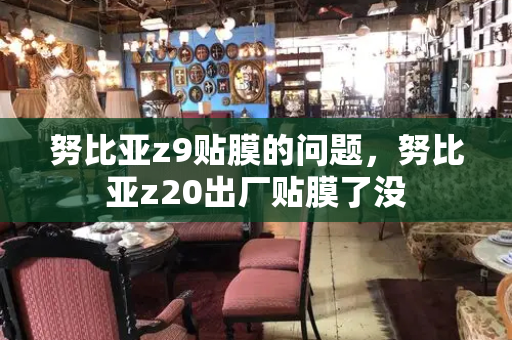 努比亚z9贴膜的问题，努比亚z20出厂贴膜了没