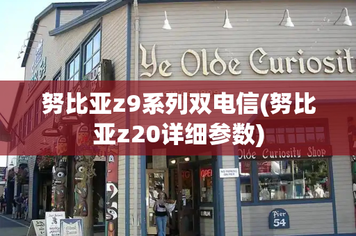 努比亚z9系列双电信(努比亚z20详细参数)