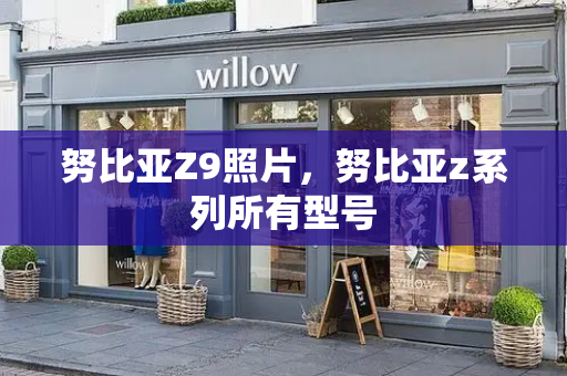 努比亚Z9照片，努比亚z系列所有型号
