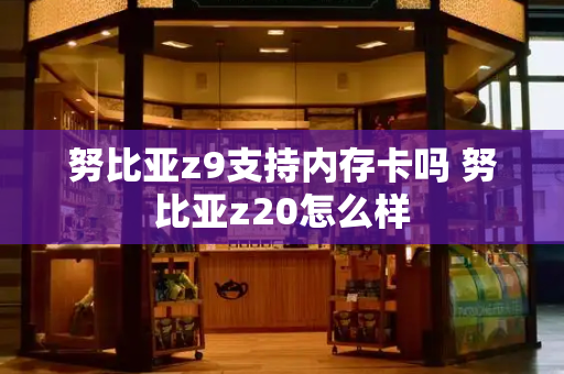 努比亚z9支持内存卡吗 努比亚z20怎么样-第1张图片-星选测评
