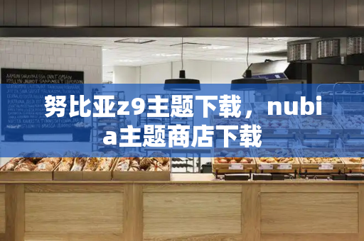 努比亚z9主题下载，nubia主题商店下载