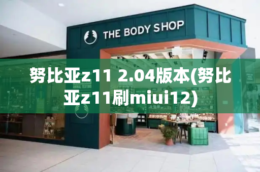 努比亚z11 2.04版本(努比亚z11刷miui12)-第1张图片-星选测评