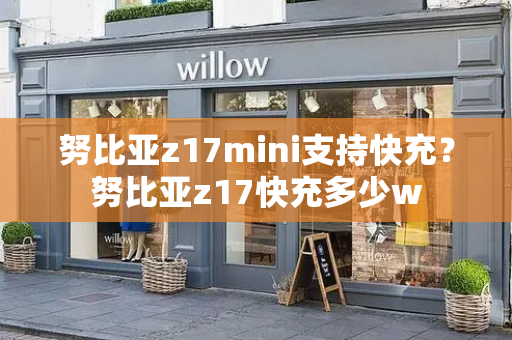 努比亚z17mini支持快充？努比亚z17快充多少w