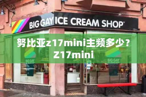 努比亚z17mini主频多少？Z17mini-第1张图片-星选测评