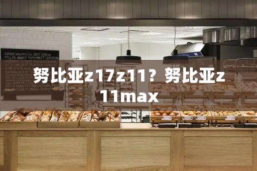 努比亚z17z11？努比亚z11max-第1张图片-星选测评