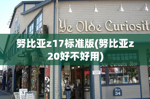 努比亚z17标准版(努比亚z20好不好用)
