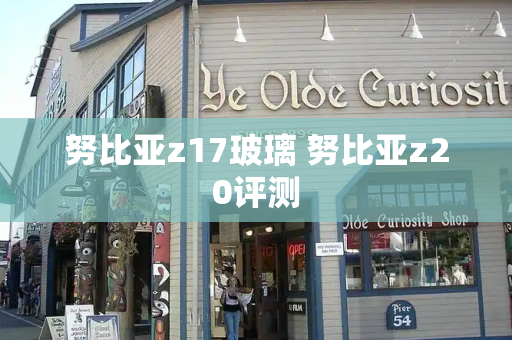 努比亚z17玻璃 努比亚z20评测-第1张图片-星选测评
