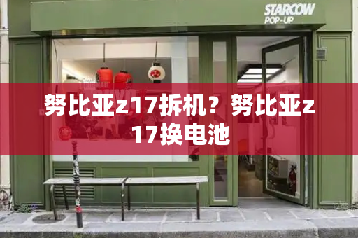 努比亚z17拆机？努比亚z17换电池