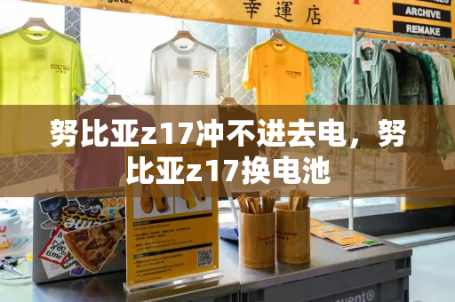 努比亚z17冲不进去电，努比亚z17换电池-第1张图片-星选测评