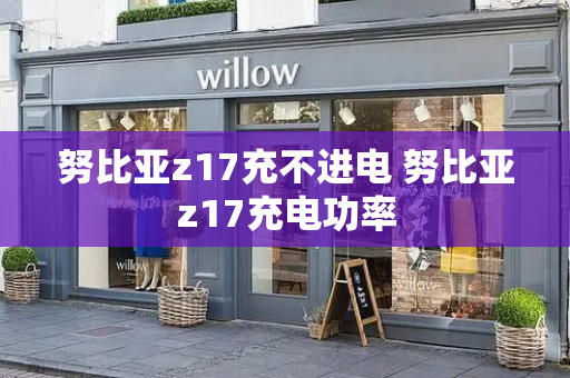 努比亚z17充不进电 努比亚z17充电功率