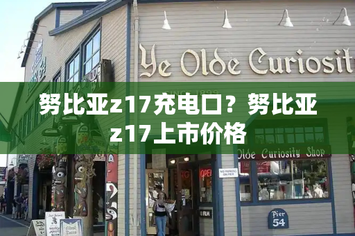 努比亚z17充电口？努比亚z17上市价格