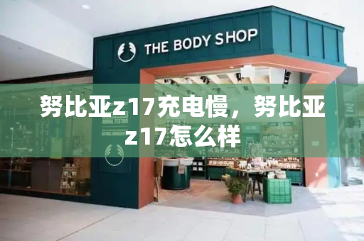 努比亚z17充电慢，努比亚z17怎么样