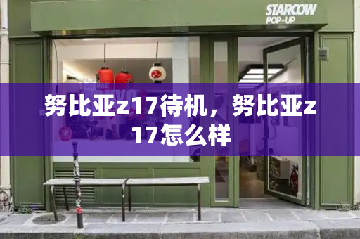 努比亚z17待机，努比亚z17怎么样-第1张图片-星选测评