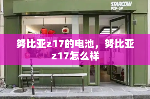 努比亚z17的电池，努比亚z17怎么样-第1张图片-星选测评