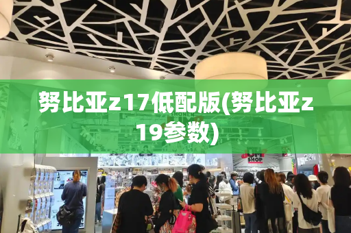 努比亚z17低配版(努比亚z19参数)-第1张图片-星选测评