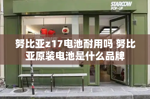 努比亚z17电池耐用吗 努比亚原装电池是什么品牌
