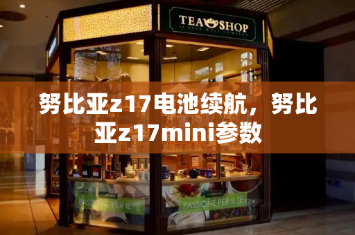 努比亚z17电池续航，努比亚z17mini参数-第1张图片-星选测评