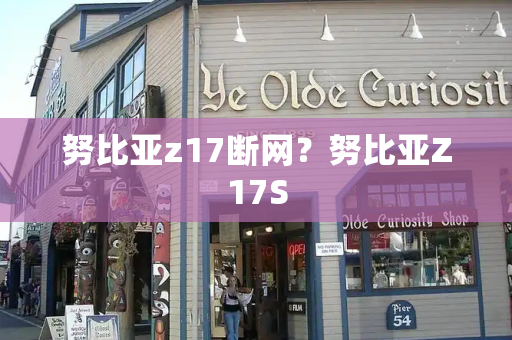 努比亚z17断网？努比亚Z17S-第1张图片-星选测评