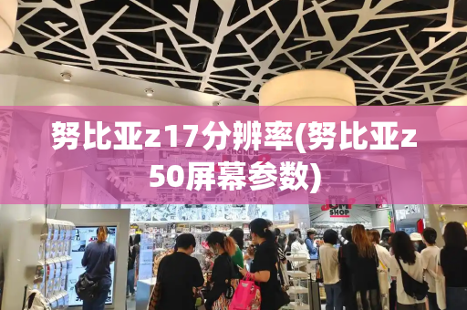 努比亚z17分辨率(努比亚z50屏幕参数)
