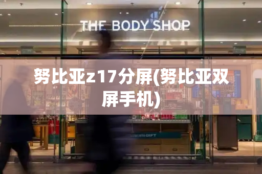 努比亚z17分屏(努比亚双屏手机)-第1张图片-星选测评
