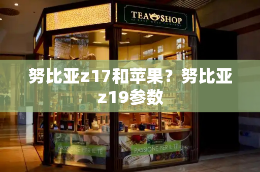 努比亚z17和苹果？努比亚z19参数