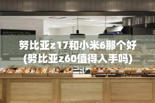 努比亚z17和小米6那个好(努比亚z60值得入手吗)-第1张图片-星选测评