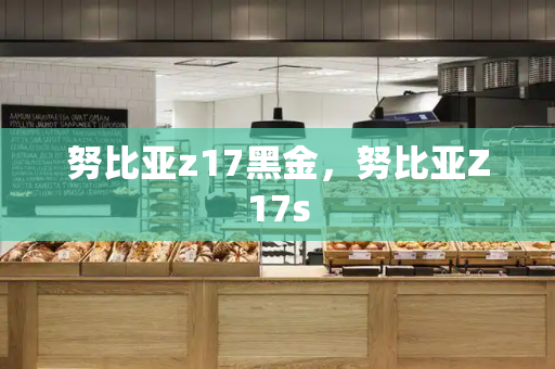 努比亚z17黑金，努比亚Z17s