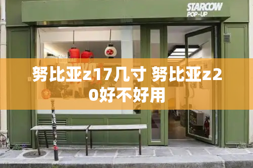 努比亚z17几寸 努比亚z20好不好用-第1张图片-星选测评