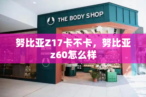 努比亚Z17卡不卡，努比亚z60怎么样-第1张图片-星选测评