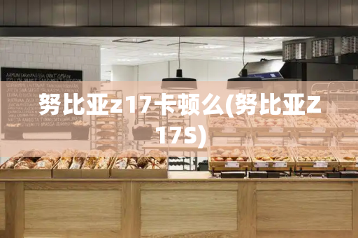 努比亚z17卡顿么(努比亚Z17S)-第1张图片-星选测评