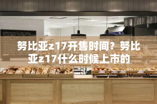 努比亚z17开售时间？努比亚z17什么时候上市的