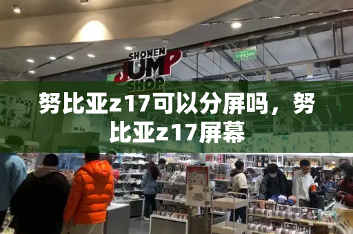 努比亚z17可以分屏吗，努比亚z17屏幕