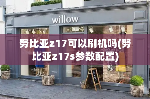 努比亚z17可以刷机吗(努比亚z17s参数配置)
