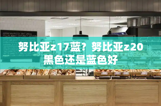 努比亚z17蓝？努比亚z20黑色还是蓝色好