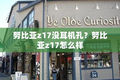 努比亚z17没耳机孔？努比亚z17怎么样-第1张图片-星选测评