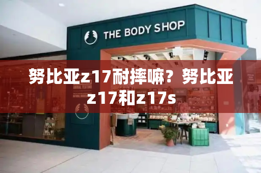努比亚z17耐摔嘛？努比亚z17和z17s-第1张图片-星选测评