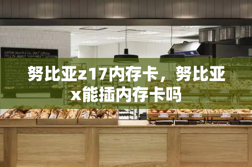 努比亚z17内存卡，努比亚x能插内存卡吗-第1张图片-星选测评