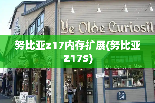 努比亚z17内存扩展(努比亚Z17S)-第1张图片-星选测评