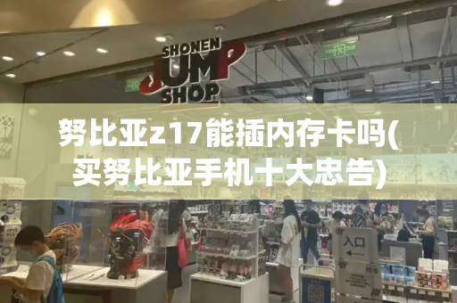 努比亚z17能插内存卡吗(买努比亚手机十大忠告)-第1张图片-星选测评