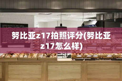 努比亚z17拍照评分(努比亚z17怎么样)-第1张图片-星选测评