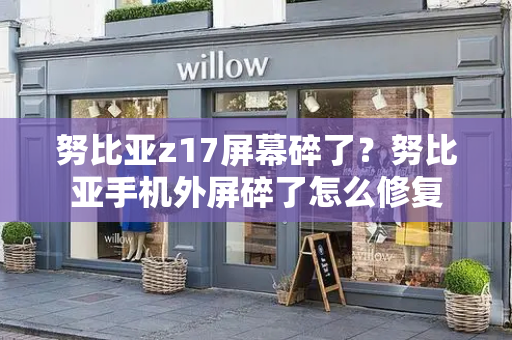 努比亚z17屏幕碎了？努比亚手机外屏碎了怎么修复-第1张图片-星选测评