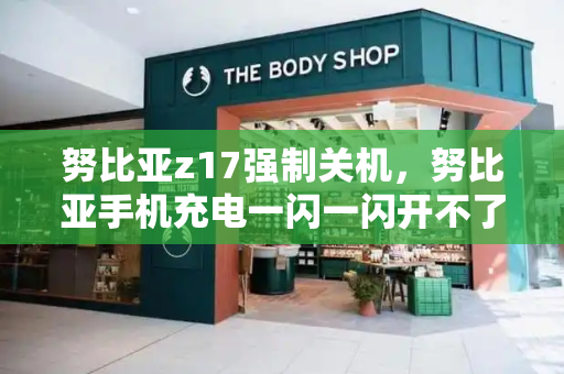 努比亚z17强制关机，努比亚手机充电一闪一闪开不了机